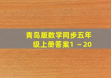 青岛版数学同步五年级上册答案1 ～20